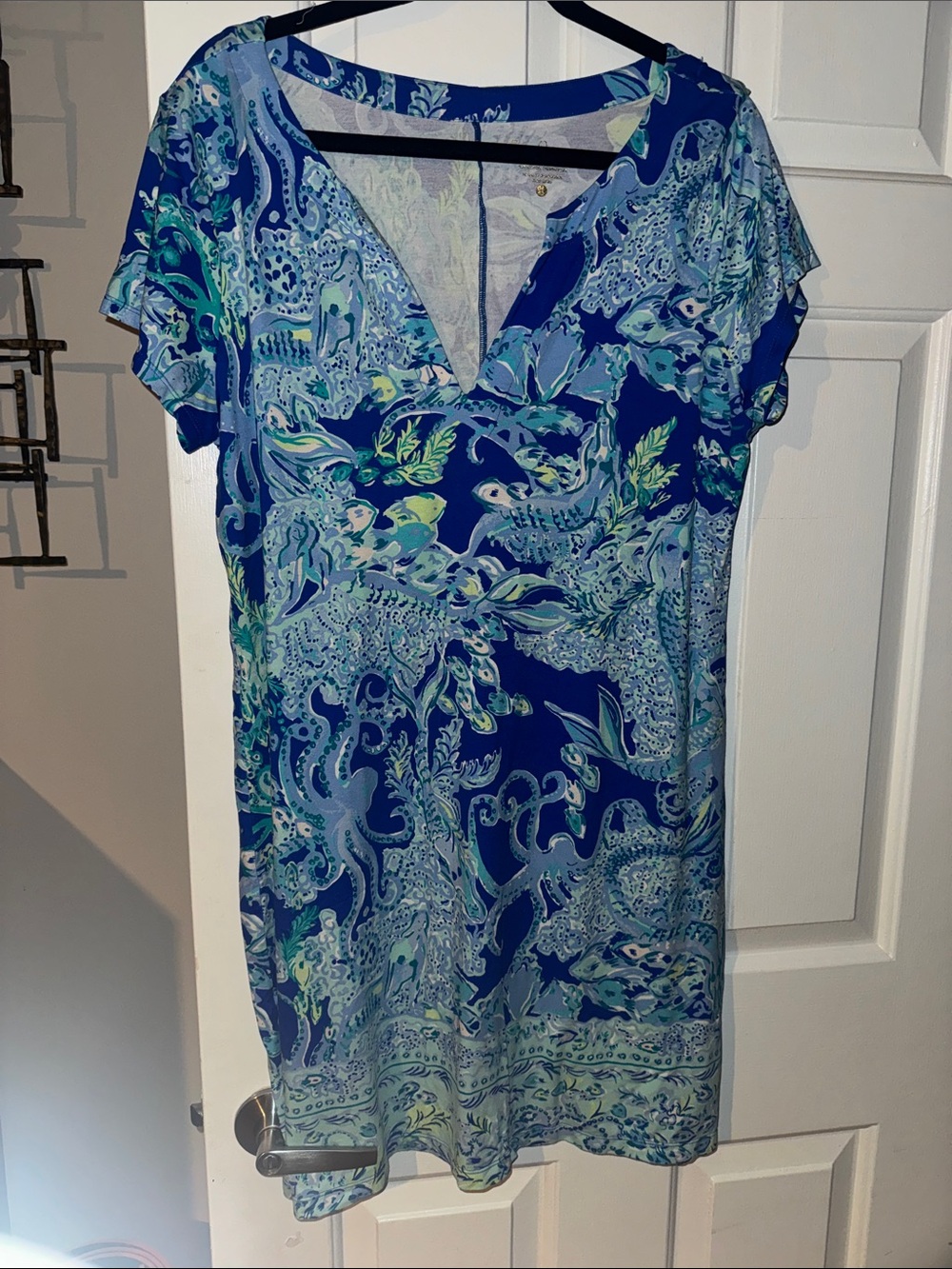 Lilly Pulitzer Sophileta  dress